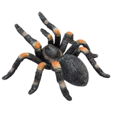 Toy School Red Kneed Tarantula